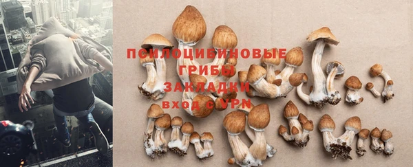 MDMA Premium VHQ Козловка