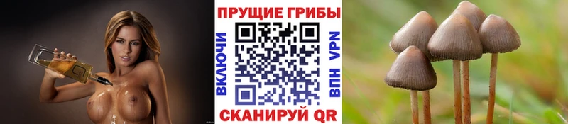 Псилоцибиновые грибы мухоморы  Купить закладки  Змеиногорск 